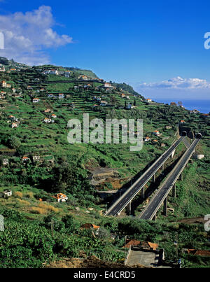 Blick auf Porto Moniz zeigen landwirtschaftlich genutzten Feldern an den Hängen des Seixal, Madeira, Portugal Stockfoto