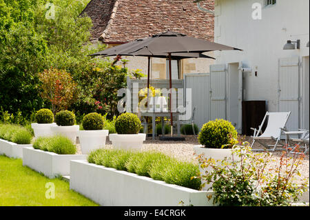 Topfpflanzen Box Hecken- und Liegestühle auf Kies Terrasse des umgebauten Scheune mit Fensterläden Stockfoto