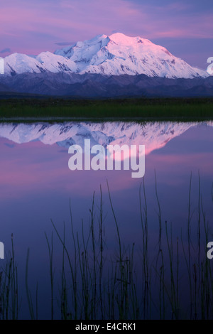 Mt. McKinley, auch bekannt als Denali Denali Nationalpark, Alaska. Stockfoto