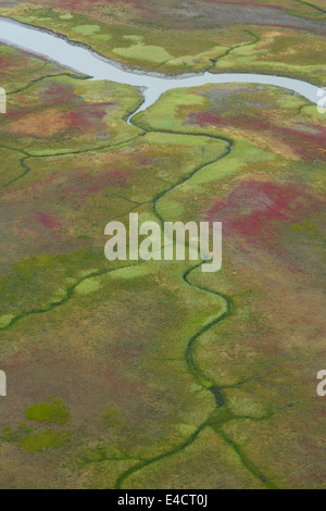 Luftaufnahme von Schlamm flach entlang Cook Inlet, Alaska. Stockfoto