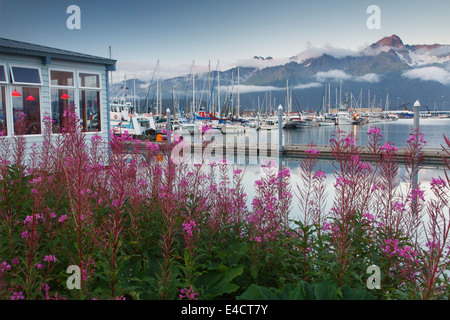 Seward kleiner Bootshafen an der Spitze der Resurrection Bay, Seward, Alaska. Stockfoto