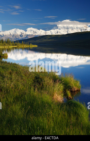 Mt. McKinley, auch bekannt als Denali aus Wonder Lake, Denali-Nationalpark, Alaska. Stockfoto