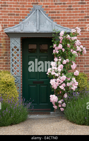 Weitläufige rosa Rosen klettern die Veranda einen grünen Haustür in Verkehrssysteme, Prinz Charles schrulligen Experiment in der modernen Stadtplanung. Dorset, England. Stockfoto