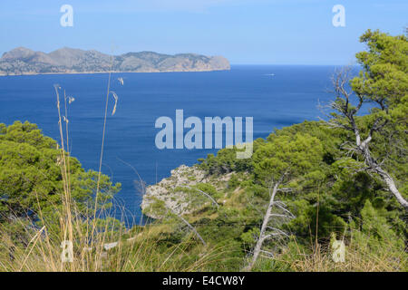 Kap Formentor gesehen über das Meer aus der wilden Natur auf der Halbinsel von Alcudia. Stockfoto