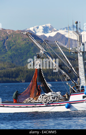 Kommerzielle Lachsfischen, Prinz-William-Sund, Chugach National Forest, Alaska Stockfoto
