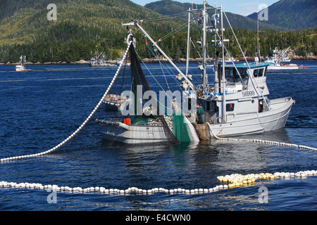 Kommerzielle Lachsfischen, Prinz-William-Sund, Chugach National Forest, Alaska Stockfoto