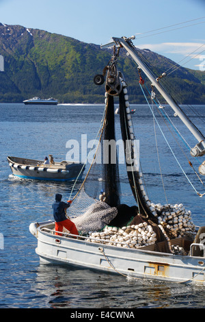 Kommerzielle Lachsfischen, Prinz-William-Sund, Chugach National Forest, Alaska Stockfoto