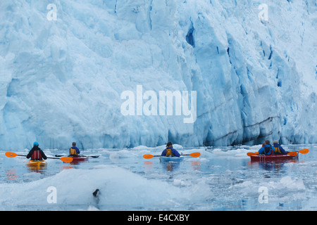 Kajakfahren vor Harriman Fjord, Prinz-William-Sund, Chugach National Forest, Barry Glacier, Alaska. Stockfoto