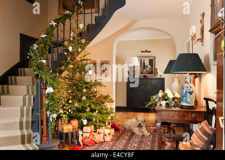 Weihnachtsbaum im Eingangsbereich mit Beginn des 20. Jahrhunderts Kelim. Die Hall-Tabelle ist französischer Kastanie und Tischlampen sind antik Stockfoto