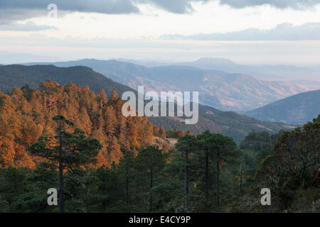 Landschaft in der Nähe des Dorfes Cuajimoloyas, Blick nach Süden in Richtung San Miguel del Valle Stockfoto