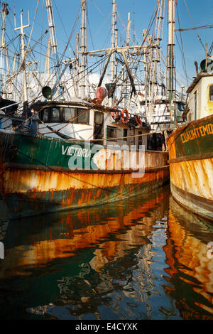 Rostige Fischerboote angedockt in Mazatlan, Sinaloa, Mexiko Stockfoto