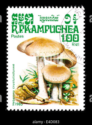 Briefmarke von Kampuchea (Kambodscha) Darstellung poison Pie oder Fee Kuchen Pilze (Hebeloma Crustuliniforme) Stockfoto