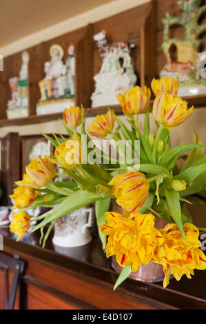 Reihe von Tulpen in Vase auf Holz Kommode mit Staffordshire Figuren im Hintergrund Stockfoto