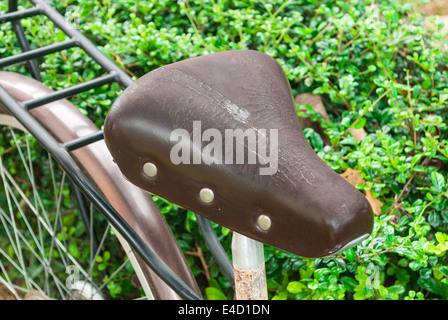 Alten Ledersattel Fahrrad. Stockfoto