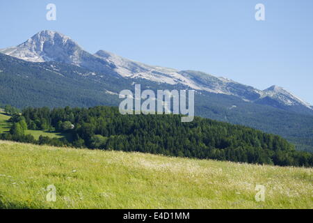 Berg, Villard de Lans, Vercors, Isère und Rhône-Alpes, Frankreich. Stockfoto