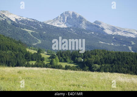 Berg, Villard de Lans, Vercors, Isère und Rhône-Alpes, Frankreich. Stockfoto