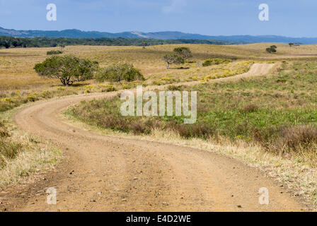 Schotterstraße durch die Landschaft, iSimangaliso Wetland Park, St Lucia, KwaZulu-Natal, Südafrika Stockfoto