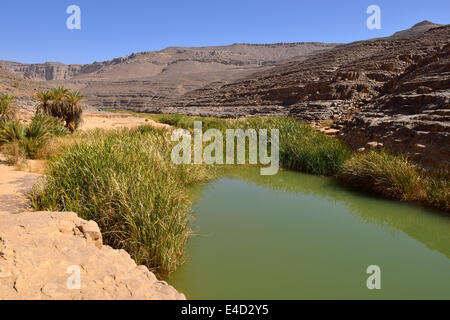 Wasser in einem Guelta in Idaran Canyon, Iherir, Tassili n ' Ajjer National Park, UNESCO-Weltkulturerbe, die Wüste Sahara, Algerien Stockfoto