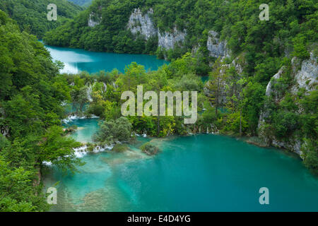 Unteren Seen mit kleinen Wasserfällen, Plitvice Jezera, Nationalpark Plitvicer Seen, Lika-Senj, Kroatien Stockfoto