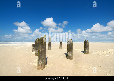 Alten hölzerne Masten nahe der Wasserlinie am Strand vom niederländischen Wattenmeer Insel Terschelling Stockfoto