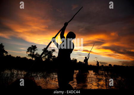 Poler auf einem traditionellen Mokoro Boot in das Okavango-Delta bei Sonnenuntergang, Botswana, Afrika Stockfoto