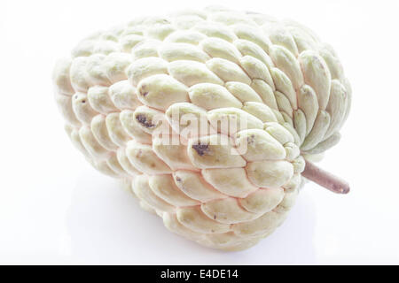 Unreife Custard Apple isoliert auf weißem Hintergrund Stockfoto