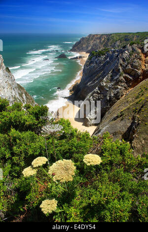 Vogelperspektive der Steilküste und Strand an einem sonnigen Sommertag Stockfoto