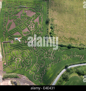 Tattenhill, Staffordshire, UK. 9. Juli 2014. Ein zehn Hektar großen Feld von Mais wird in einem riesigen Vogelscheuche Labyrinth umgewandelt. Die Charaktere sind aus aus Julia Donaldsons neues Buch - die Vogelscheuchen Hochzeit. Der Autor Gruffalo traten die Bücher Illustrator Axel Scheffler, öffnen Sie das Labyrinth heute um die National Forest Adventure Farm, Tattenhill, Staffordshire. Bildnachweis: Joanne Roberts/Alamy Live-Nachrichten Stockfoto