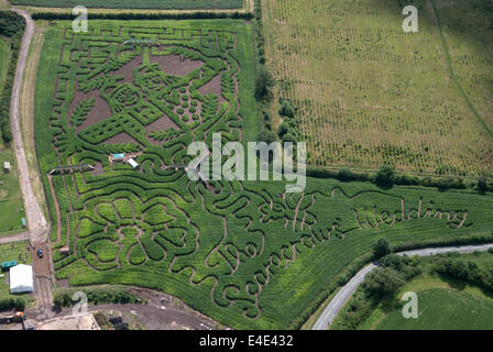 Tattenhill, Staffordshire, UK. 9. Juli 2014. Ein zehn Hektar großen Feld von Mais wird in einem riesigen Vogelscheuche Labyrinth umgewandelt. Die Charaktere sind aus aus Julia Donaldsons neues Buch - die Vogelscheuchen Hochzeit. Der Autor Gruffalo traten die Bücher Illustrator Axel Scheffler, öffnen Sie das Labyrinth heute um die National Forest Adventure Farm, Tattenhill, Staffordshire. Bildnachweis: Joanne Roberts/Alamy Live-Nachrichten Stockfoto