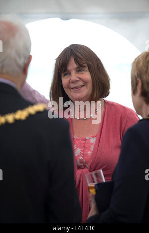 Tattenhill, Staffordshire, UK. 9. Juli 2014. Julia Donaldson.  Ein zehn Hektar großen Feld von Mais wird in einem riesigen Vogelscheuche Labyrinth umgewandelt. Die Charaktere sind aus aus Julia Donaldsons neues Buch - die Vogelscheuchen Hochzeit. Der Autor Gruffalo traten die Bücher Illustrator Axel Scheffler, öffnen Sie das Labyrinth heute um die National Forest Adventure Farm, Tattenhill, Staffordshire. Bildnachweis: Joanne Roberts/Alamy Live-Nachrichten Stockfoto