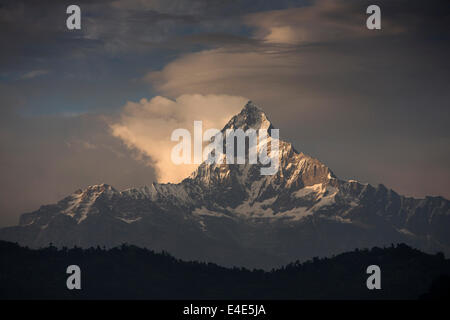 Pokhara, Nepal Annapurna Range, Machhapuchchhre, Fisch Tail Berg, am Nachmittag Licht Stockfoto