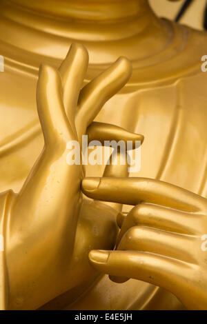 Nepal, Pokhara, Ananada Hill, Shanti Stupa, World Peace Pagoda, goldene Buddha-Statue-Handgeste Stockfoto