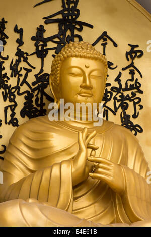 Nepal, Pokhara, Ananada Hill, Shanti Stupa, World Peace Pagoda, goldene Buddha-statue Stockfoto