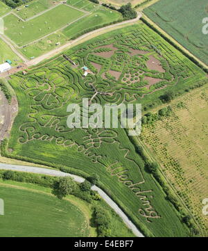 Burton-on-Trent, Staffordshire, Großbritannien. 9. Juli 2014. Die nationalen Wald Abenteuer Bauernhof startet seine 11. jährliche 10-Hektar Mais Labyrinth, dass in diesem Jahr feiert die Veröffentlichung der Hochzeit buchen Sie die Vogelscheuchen" von den Machern von der Gruffalo & Stick Man. In der Form der Vogelscheuchen ' Hochzeit zeichen Betty O'Gerste und Harry O'Hay, das Labyrinth entworfen, verfügt über drei Meilen von Wegen, Brücken und Aussichtstürme. Quelle: Deborah Vernon/Alamy leben Nachrichten Stockfoto