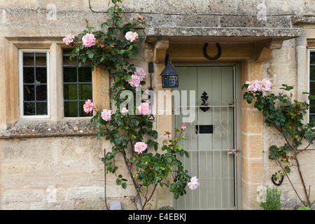 Rosen auf eine Steinhütte in Cotswold Dorf von kleinen Barrington, Gloucestershire UK Stockfoto