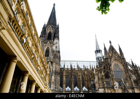 Blick auf den Dom in Köln Stockfoto