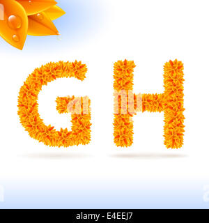 Sans Serif-Schriftart mit orange Blatt Dekoration auf weißem Hintergrund. Buchstaben G und H Stockfoto