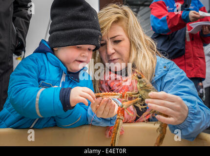 Kinder lernen über Schalentiere während des jährlichen Seemanns Day Festival, Reykjavik, Island Stockfoto