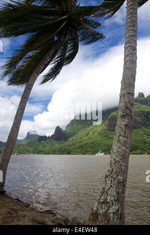 Cooks Bay, Moorea, Französisch-Polynesien. Stockfoto