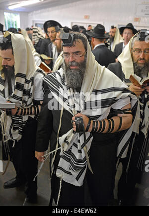 Orthodoxe jüdische Männer am Morgengebet Gebet Schals und Gebetsriemen tragen. Cambria Heights, Queens, New York Stockfoto