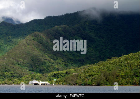 Üppige Vegetation auf der Insel Moorea, Französisch-Polynesien. Stockfoto
