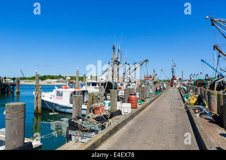 Die Fischerhafen in Montauk, Suffolk County, Long Island, NY, USA Stockfoto