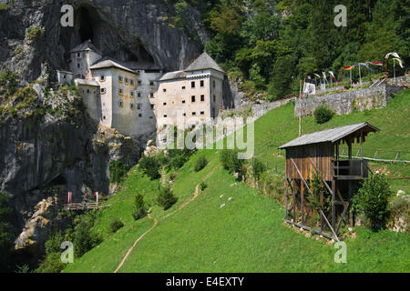 Burg Predjama, Renaissance-Schloss in ein Höhleneingang mit einem Zwinger im Vordergrund, Slowenien gebaut. Stockfoto