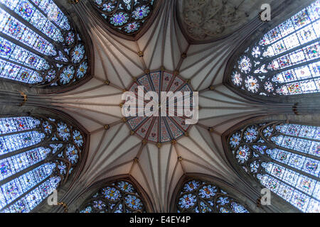 Decke der Kapitelsaal. York Minster Stockfoto