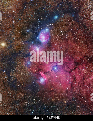 NGC 6559 Emission und Reflexion Nebel im Sternzeichen des schützen. Innerhalb des Nebels komplexe sind mehrere helle blaue Reflexion Wolken Stockfoto