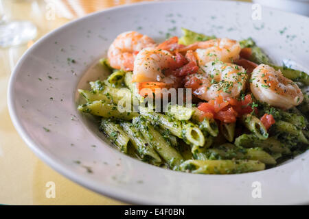 Italienische Küche-Platte mit Penne-Nudeln in einer Kräuter- und Olivenöl Pesto mit Garnelen. Stockfoto