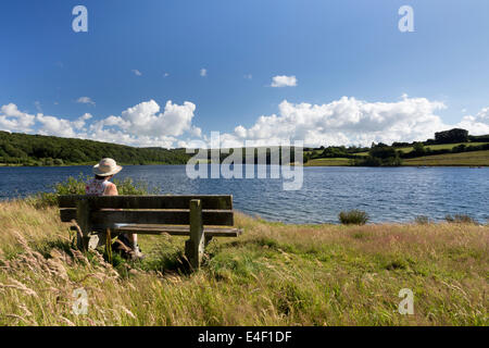 Rückansicht des Frau sitzen auf Bank, Blick auf geschwollene weißen Cumulus-Wolken an einem perfekten Sommertag über See zu bewundern. Stockfoto