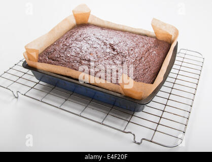 Lebkuchen noch in die Backform auf einem rechteckigen Kuchengitter frisch aus dem Ofen [Land] "einen Kuchen zu machen" (10 von 22) Stockfoto