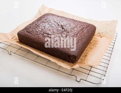 Lebkuchen auf einem rechteckigen Kuchengitter frisch aus dem Ofen [Land] "einen Kuchen zu machen" (11 von 22) Stockfoto