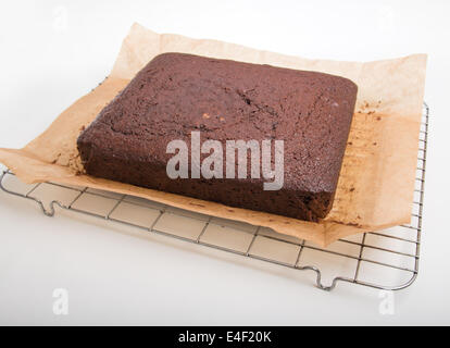 Lebkuchen auf einem rechteckigen Kuchengitter frisch aus dem Ofen [Land] "einen Kuchen zu machen" (12 von 22) Stockfoto